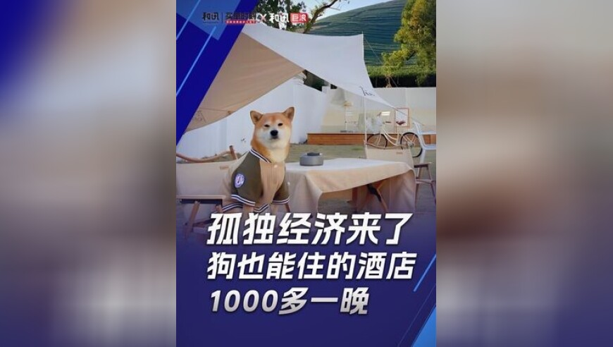 全红婵正面回应体重变化影响动作,2025年澳门正版资料免费公开,最佳精选解释落实_云端版V10.47