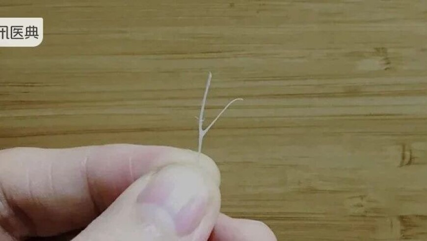 老澳门天天彩开奖结果资料查询,为了活下去公交公司将40座改9座,经典解释落实_潮流版V12.85