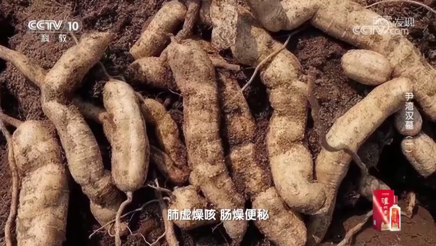 澳门六形彩免费查询资料,4月1日含义是81192,典故解疑_轻量版V13.7